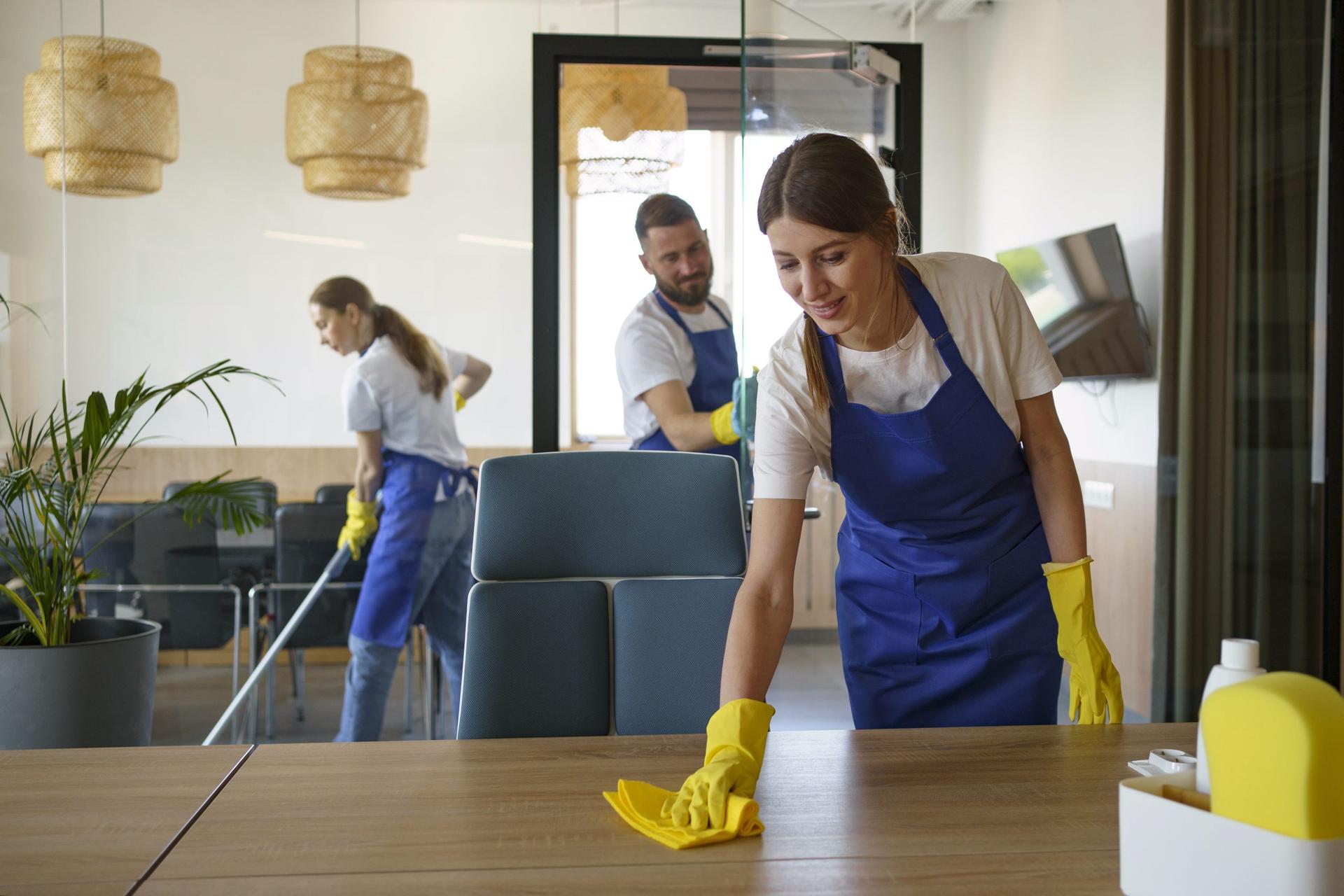 professional-cleaning-service