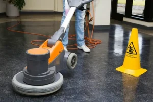 Cleanig Services