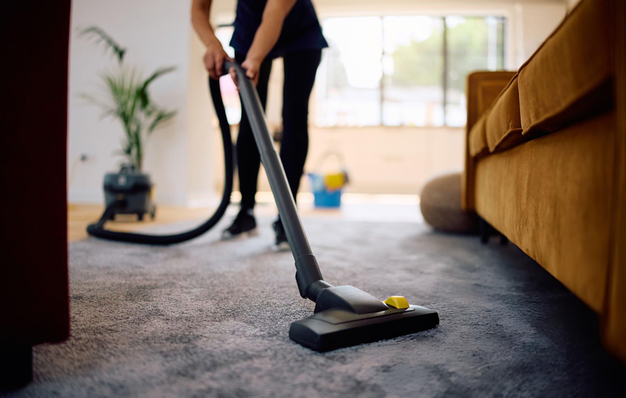 Carpet Cleaning Service