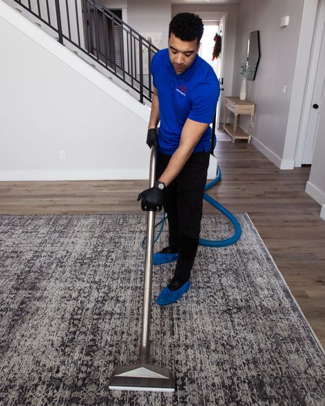 Carpet Cleaning Experts